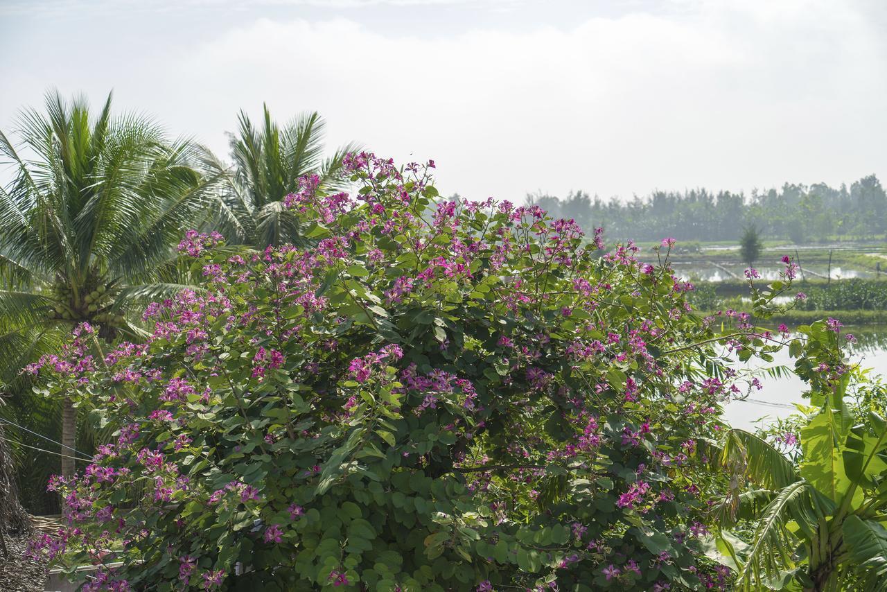 Hoi An Luna Villa Buitenkant foto