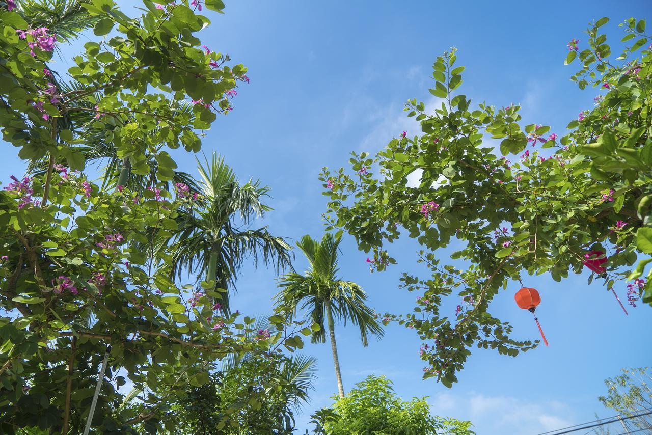 Hoi An Luna Villa Buitenkant foto